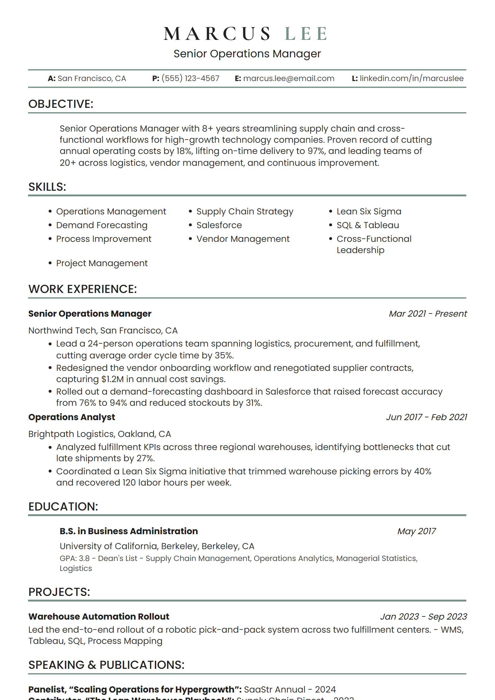 Easy Resume resume template preview